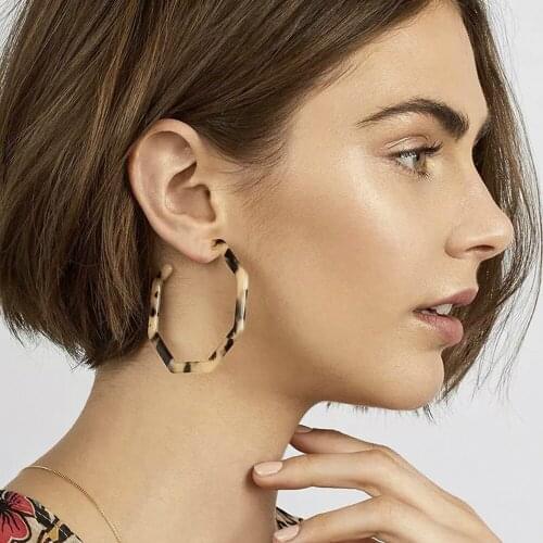 Ins Hot Party Jewelry Dangle Earrings Acrylic Acetate Plate Leopard Print Polygon Earrings Fashion Unique Womens Earrings