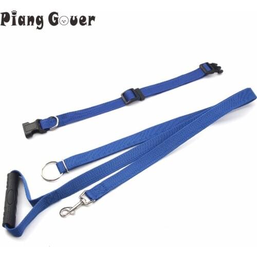 1 set Pet Collars+ Leashes Nylon Dog Leash Trains For Dogs 30 Lbs Stop Pulling + Dogs Collar Blue/Black/Red