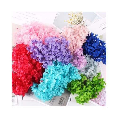 Dried flowers High Quality Natural Fresh Preserved Flower Dried Hydrangea Flower Head For DIY Real Eternal Life Flowers Material
