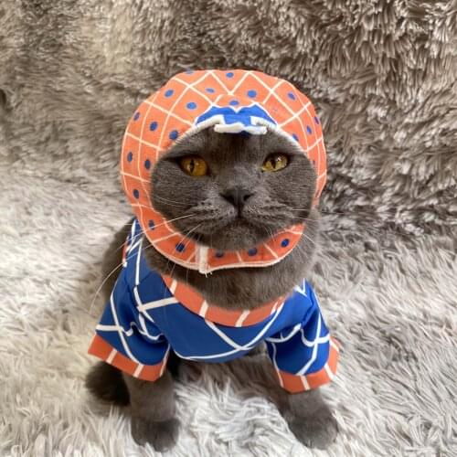 Cosplay Jojo Bizarre Adventure Cosplay Pets Hat for Cats and Dogs