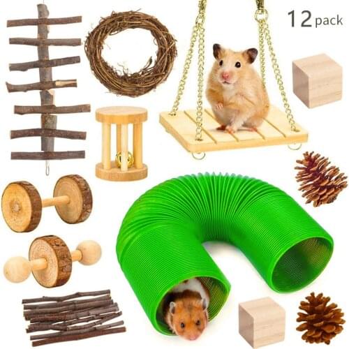 12PCS Small Animal Hamster Chew Toys Natural Wooden Hamster Toys Set Gerbils Guinea Pigs Hamster Chew Toys Pet Molar Toys