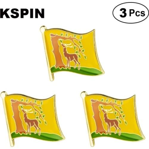 BERKSHIRE Lapel Pin Brooches Pins Flag badge Brooch Badges