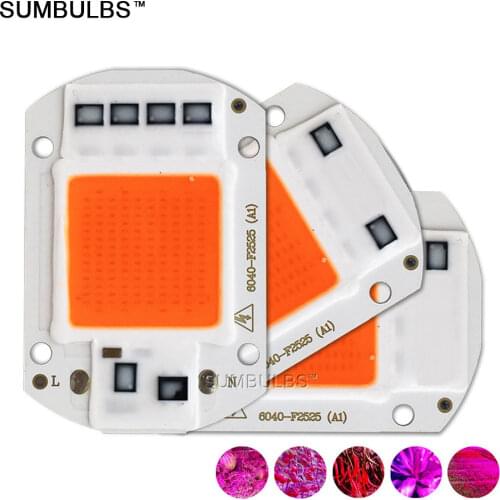 Sumbulbs LED Plant Lamps