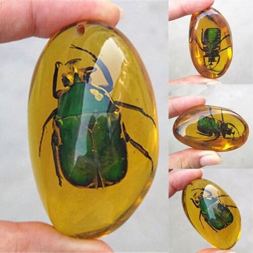 Beautiful Amber Beetle Fossil Natural True Insect Specimens Manual Polishing