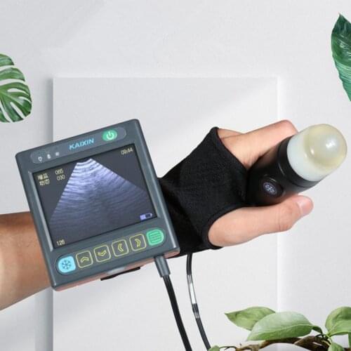 Veterinary B-ultrasound machine, portable intelligent waterproof probe, pregnant pigs, cows and other animals