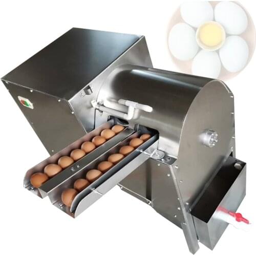 Chicken Duck Goose Quail Egg Washer Machine Egg Washing Manufacturer Egg Cleaner