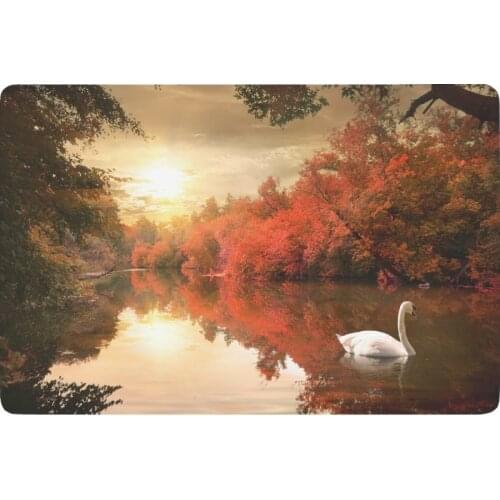 Swan on the Autmn River at Sunrise Anti-slip Door Mat Home Decor, Nature Fall Trees Indoor Outdoor Entrance Doormat