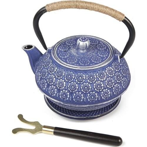 Dreamburgh Cast Iron Teapots China