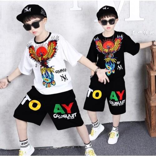 2Pcs Set Summer Boys Girls Hip Hop Clothes Sets Dancing Costumes Kids Dinosaurs Print T shirt Shorts outfits 6 8 10 12 14 Yrs