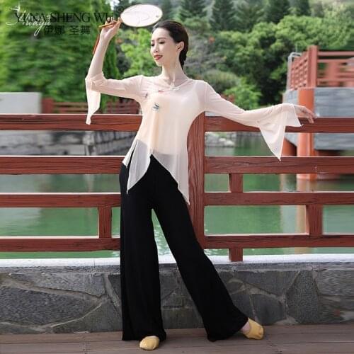 Classical Dance Practice Clothes Body Rhyme Butterfly Accessories Elegant Gauze Adult Female Chinese Style Folk Dance Costume