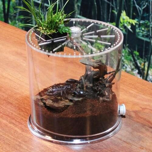 Creative Transparent Desktop Fish Tank Small Turtle Tank Breeding Box Transparent Acrylic Landscaping Aquarium Reptile Box