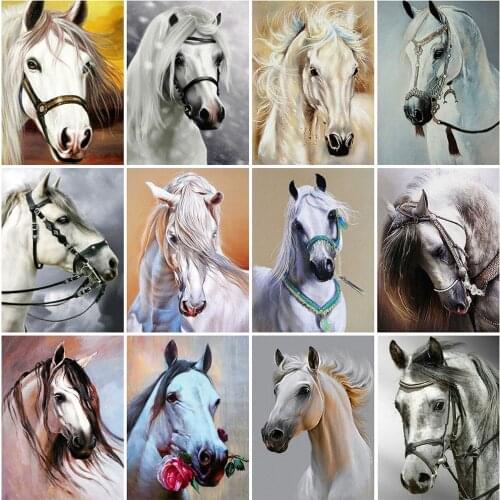 Evershine Diamond Painting Horse 5D DIY Diamond Embroidery Animals Full Square Mosaic Rhinestone Art Home Decoration