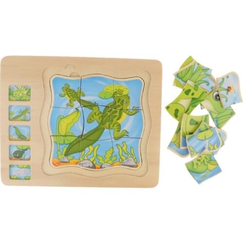 Frogs Growing Puzzle Toy for Kids Toddlers Learning Activity