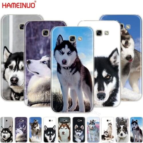 HAMEINUO husky puppy dog cell phone case cover for Samsung Galaxy A3 A310 A5 A510 A7 A8 A9 2016 2017