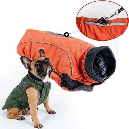 TOUGHAGE Clothes And Footwear For Dogs