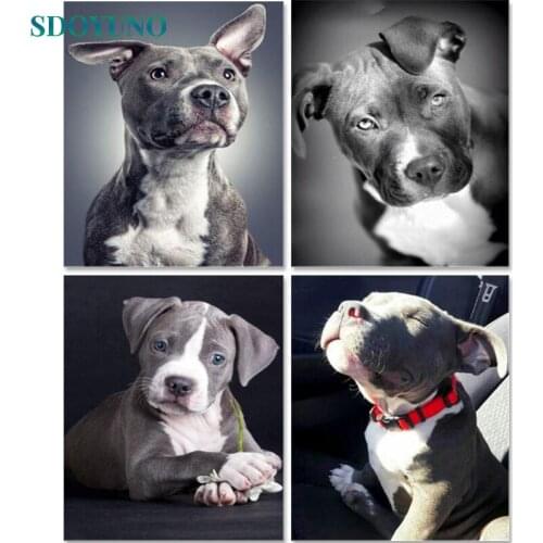 SDOYUNO 60x75cm Paint By Numbers On Canvas Dogs DIY Frame Oil Painting By Numbers Animals Watercolor By Numbers Home Decor