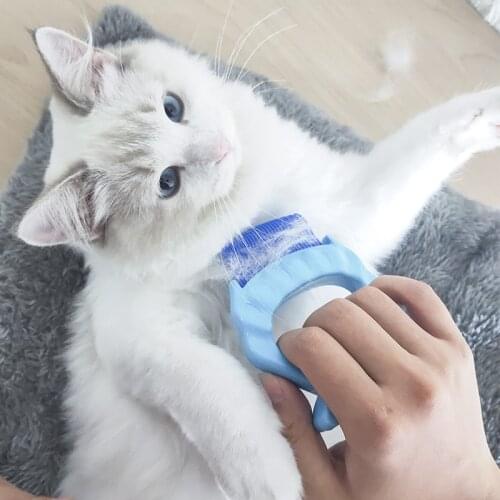 Carding dog brush for short hair pet products Cat supplies brush accessories for cats hair corner brushs massage hairs flea comb