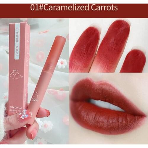 Matte Liquid Lipstick Velvet Lip Gloss Waterproof Long Lasting Lip Tint Cream Pigment Cosmetic Lipstick Maquiagem TSLM2