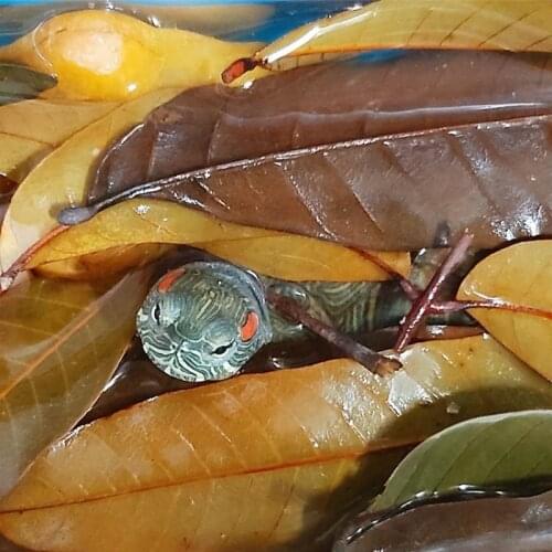 Natural Dimocarpus Longan Leaves Aquarium Decoration Tortois Turtle Fish Tank Cleaning Tool Water Treatment Aquarium Accessories