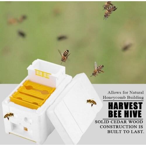 Hive Box Beekeeping Tools Foam Beehives Bee Tail Boxes Bee Breeding Boxes Pollination Box Sets Solid cedar Beekeeping Tool