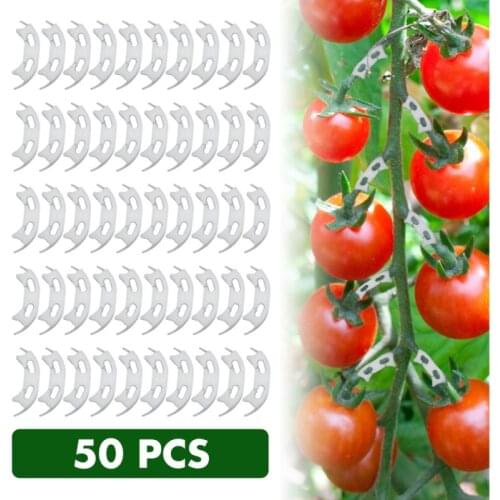 50 Pcs Plant Support Clips Anti-bending Tomatoes Branch Fixing Fruit Vegetables Vine Stems Supporting Plant Upright Clamps