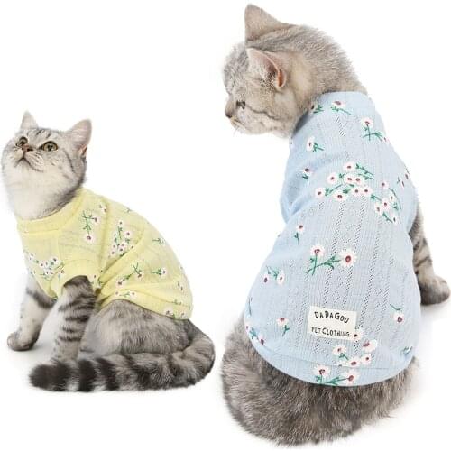 Youmaoyougou Clothes For Cats