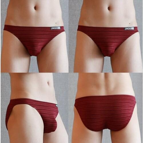 4Pcs/lot Mens Underwear Briefs Fashion Male Nylon Sexy Underwear For Men Mens Underwear Transparent Calzoncillos Male Underpants