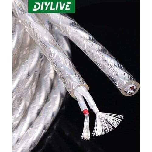 DIYLIVE Lipton silver-plated 2-core Fever Speaker cable HIFI middle speaker cable 10mm loose cable