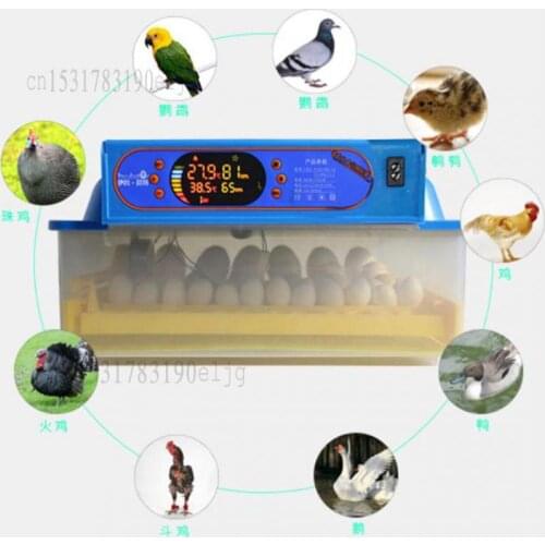 Incubator Fully Automatic Incubator Household Small Incubator Chick Duck Goose Intelligent Incubator