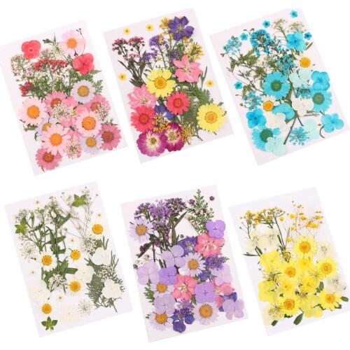 Pressed Mixed Organic Natural Dried Flowers DIY Art Handicraft Gift Decoration Artificial Dried Flowers
