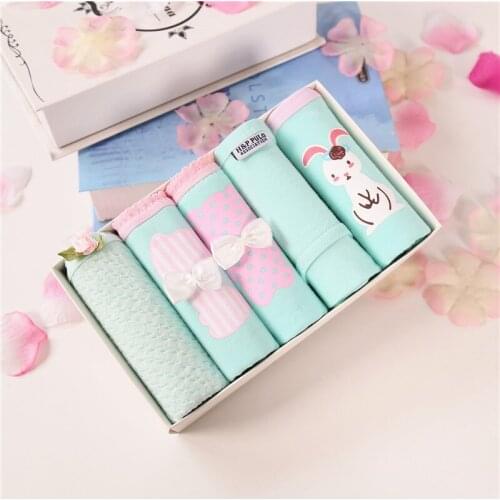 New 5pcs/lot Ladies Underwear Gift Packs Hot Cute Cartoon Printing Cotton Womens Underwear Low Waist Girl Underwear 12-22Years