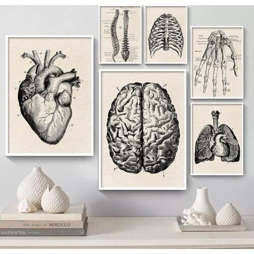 Wall Picture Poster Retro Human Anatomy Artwork Medical Musculoskeletal Canvas Painting Hospital Clinic Decor Minimalist Art