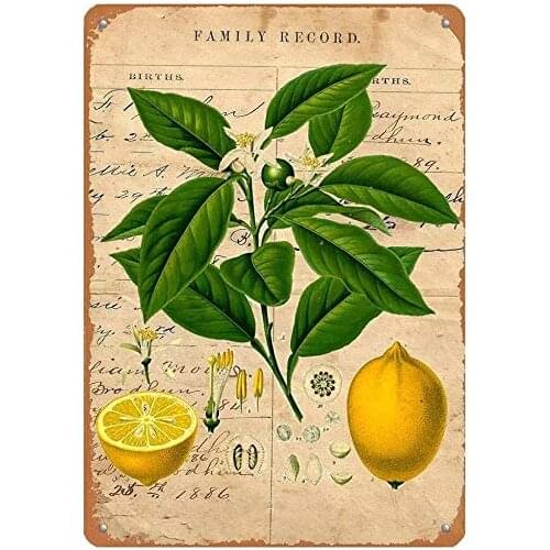 ZMKDLL Metal Tin Sign Fruit Plant Lemon Outdoor Street Home Bar Club Kitchen Restaurant Wall Art Decor Signs Indoor Metal Wall
