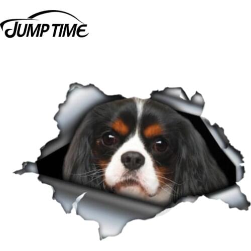 Jump Time 13cm x 8.7cm Cavalier King Charles Sticker Torn Metal Decal Wild Animal Funny Car Sticker Window Bumper 3D Car Styling