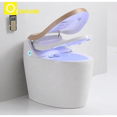 Automatic sensor flushing electric intelligent smart toilet