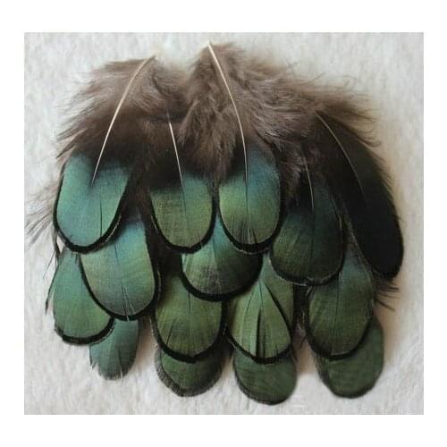 200pcs/Lot 4-7CM Loose Natural Dark Emerald Lady Amherst Pheasant Plumage Feathers for weddings,parties,home decors,costumes