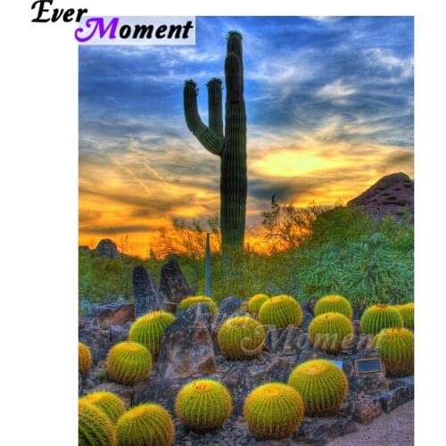 Ever Moment Diamond Painting Prickly Pear Cactus Full Square Drill Picture Of Rhinestone Diamond Embroidery Household ASF1724