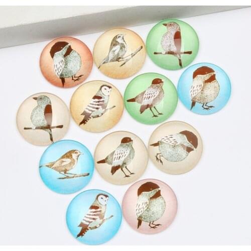 Reidgaller mixed vintage bird owl photo glass cabochons 20mm 25mm 12mm diy flatback jewelry findings for scrapbooking