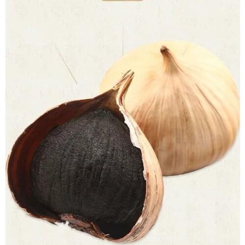 High quality Organic Black Garlic Fermented 500g Aged for Full 90 Days Whole Solve Constipation Protect liver treatment Health
