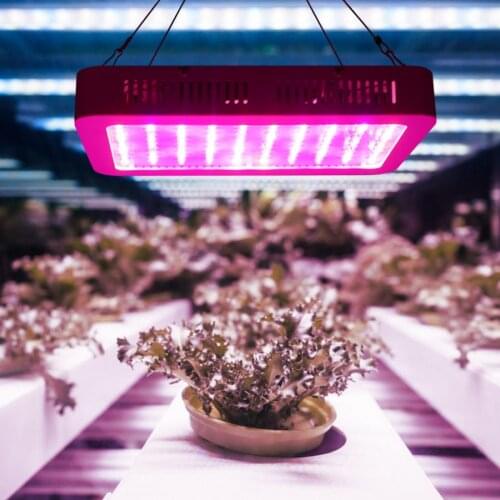 Grow Tent AC85-265V 1000W Indoor LED Plants Growing Light Full Spectrum COB Spotlight Lamp Indoor