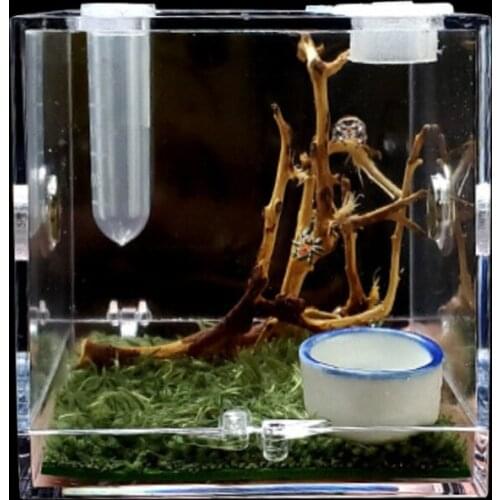 Q9QF Jumping Spider Habitat Feeding Cage Acrylic Transparent Breeding Box with Top Feeding Port for Spiders Small Insects