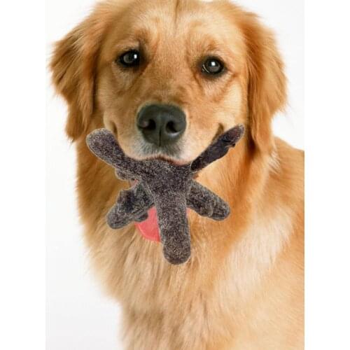 1 Pc Rubber Dog Gnawing Molar Toys Funny Twig Shape Bite Resistant Ecological Wood Flour Puppy Toys Teeth Clean Toy