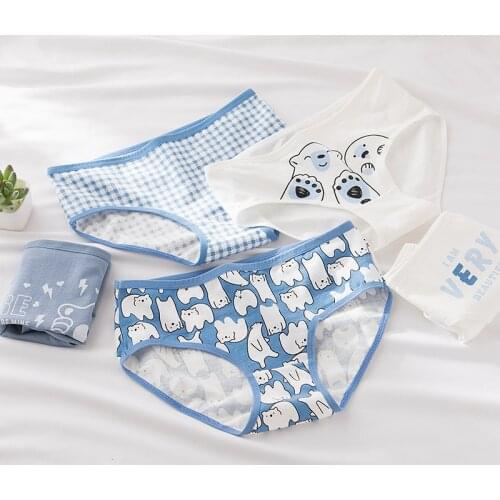 5Pcs Sexy Panties Underwear Women Briefs Cotton Lingeries Shorts Print Underpants Girls Panties Plus Size Panty Cartoon Womens