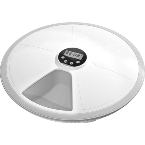 JINZE Bowls For Dogs