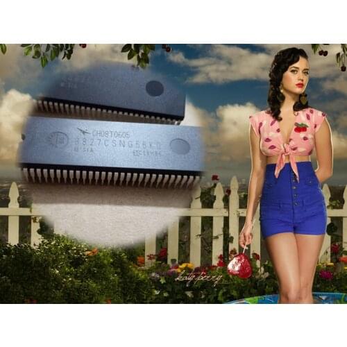 100% New&Original In Stock 8827CSNG5BK0=CH08T0605