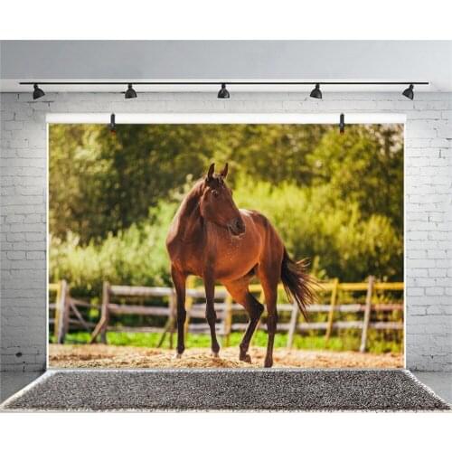 Laeacco Farm Trees Railing Horse Baby Children Photography Backgrounds Customized Photographic Backdrops For Photo Studio