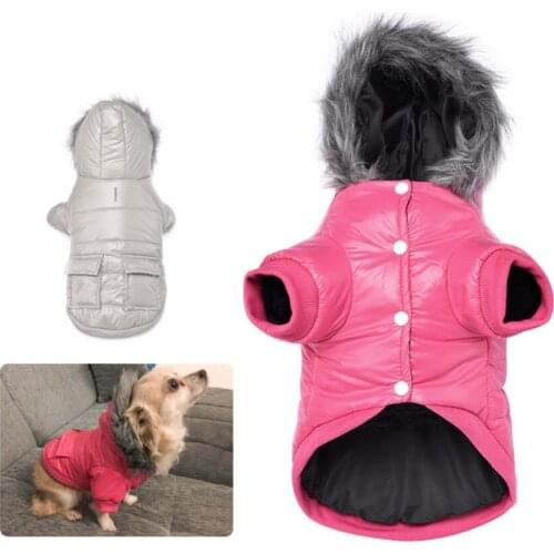 Pet dog clothes winter dog clothes autumn winter dog down jacket windproof hooded cold proof puppy coat