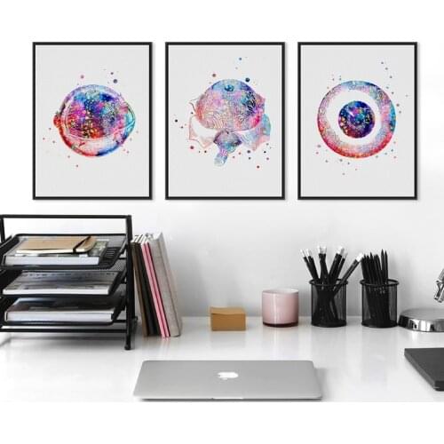 Eye Anatomy Medical Posters and Prints Optometrist Gift Ophthalmology Medicine Wall Art Canvas Painting Pictures Clinic Decor