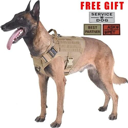 Mrs win Collars, Harnesses And Leashes
