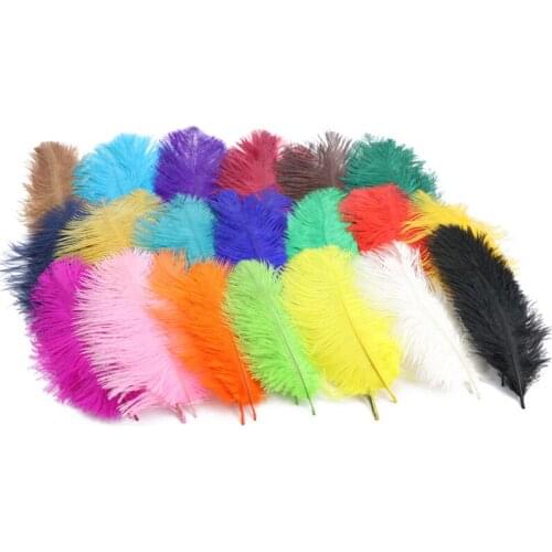 WhatIlife 10Pcs Natural Ostrich Feather 15-20CM Feather For Wedding Birthday Party Home Decoration DIY Dress Jewelry Accessorise